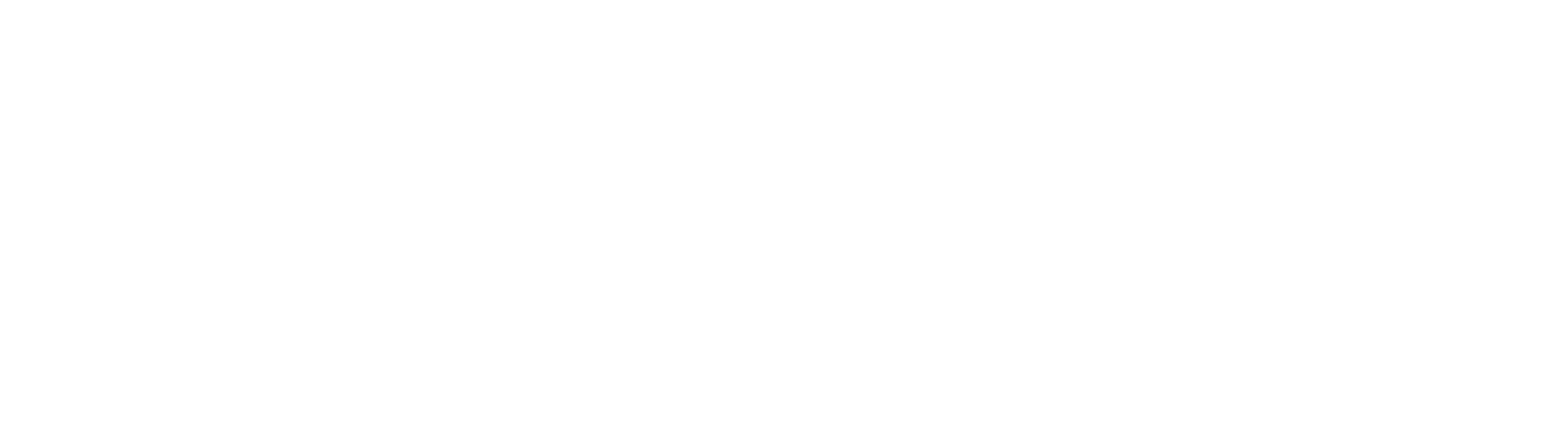 KS Žarnovická